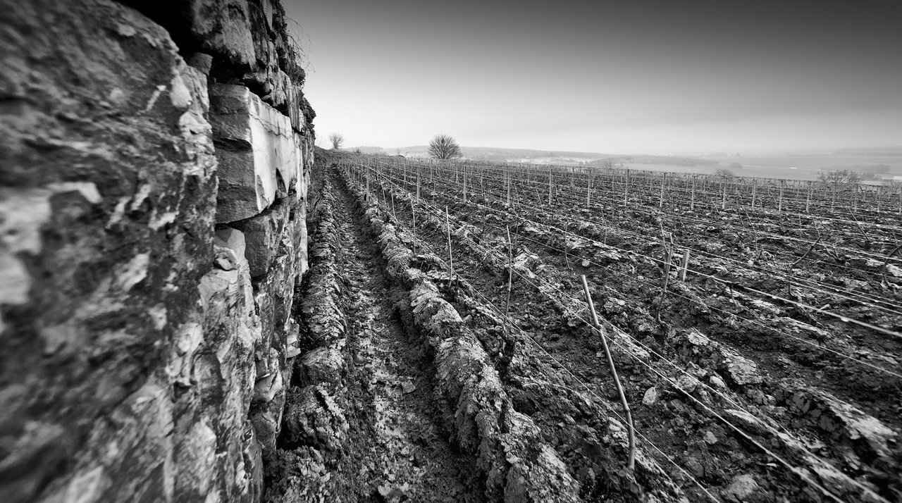 Notre travail au rythme des saisons
