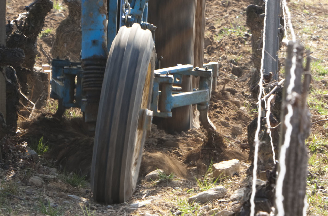 Respecting the balance of the soil by ploughing